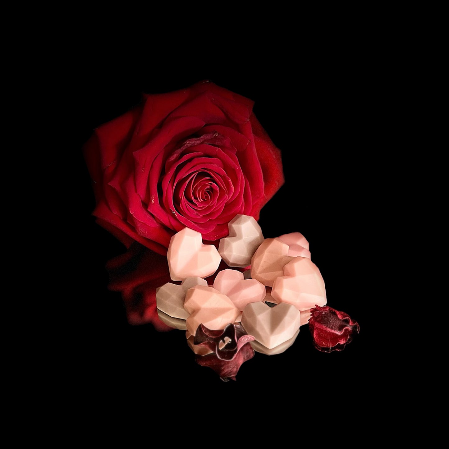Dark Rose