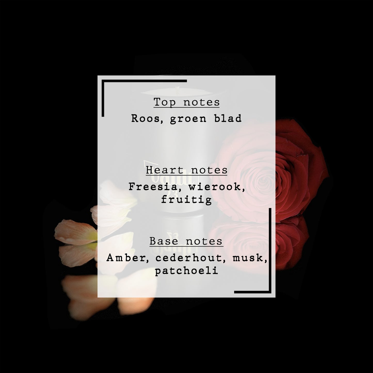 Dark Rose