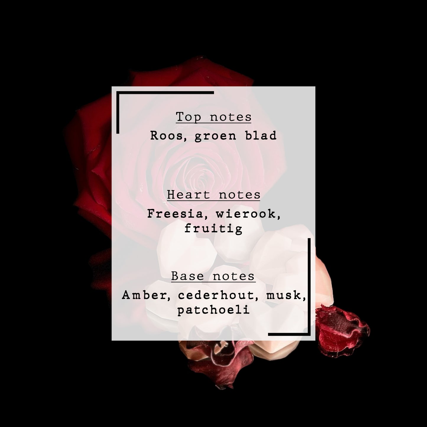 Dark Rose